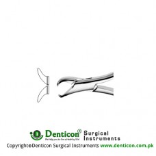 Cowhorn American Pattern Tooth Extracting Forcep (Child) Fig. 23S (For Lower Molars) Stainless Steel, Standard